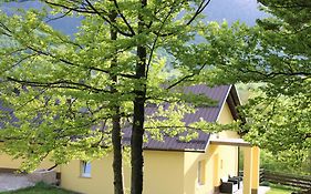 Apartman Juka